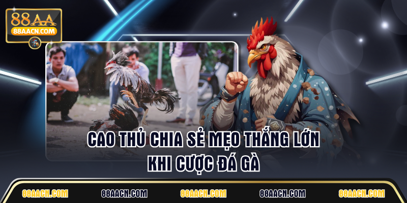 Cao thủ chia sẻ mẹo thắng lớn khi cược đá gà