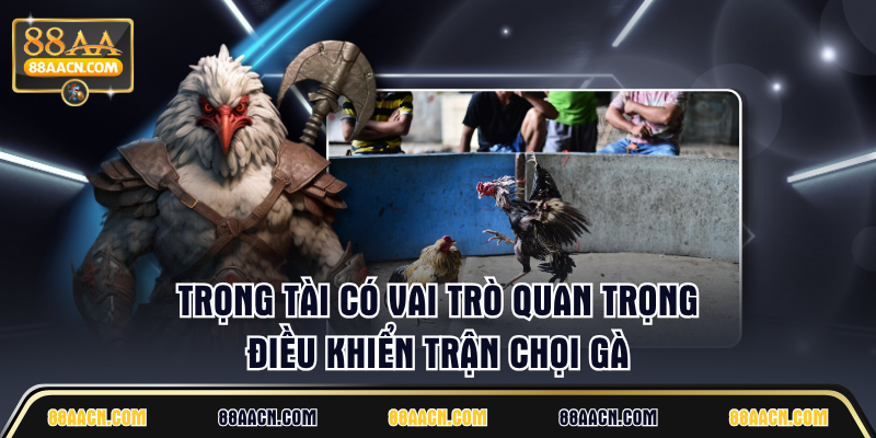 Trọng tài có vai trò quan trọng điều khiển trận chọi gà